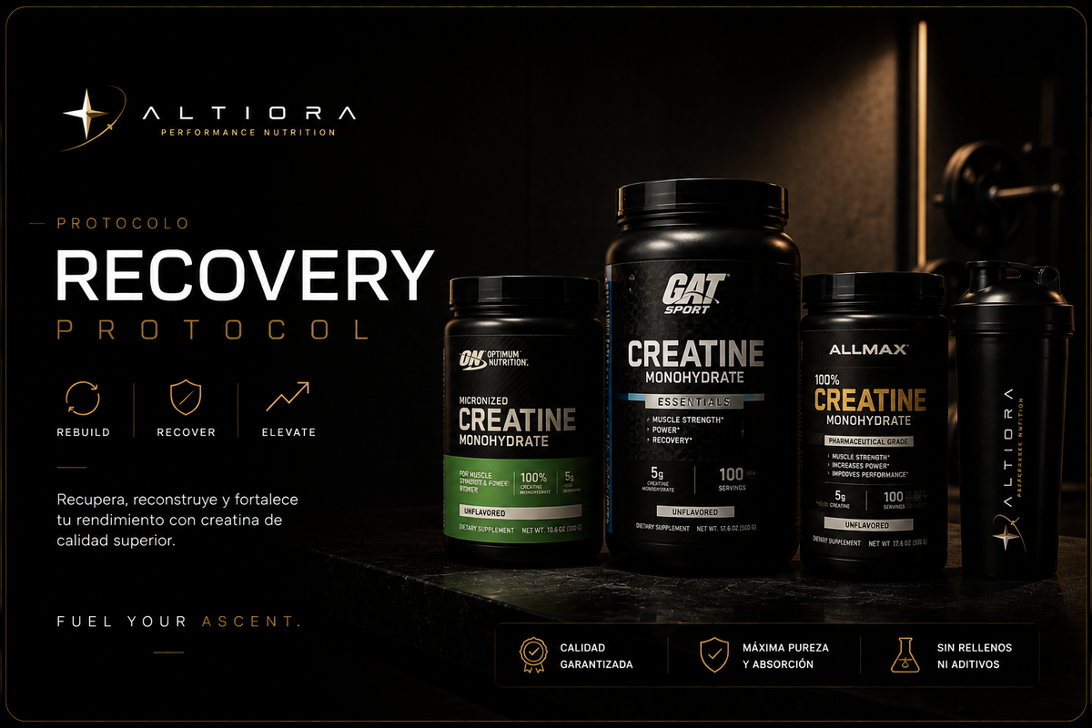Recovery Protocol